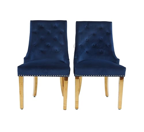 HYGRAD BUILT TO SURVIVE Velvet Upholstered Seat Luxury Dining Accent Chair With Gold Metal Legs Gold For Home Office Study Hallway (2, Blue)