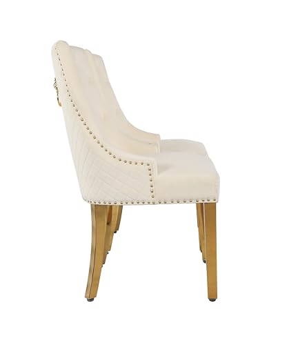 HYGRAD BUILT TO SURVIVE Velvet Upholstered Seat Luxury Dining Accent Chair With Gold Metal Legs Gold For Home Office Study Hallway (2, Cream)