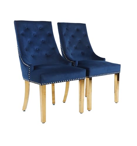 HYGRAD BUILT TO SURVIVE Velvet Upholstered Seat Luxury Dining Accent Chair With Gold Metal Legs Gold For Home Office Study Hallway (2, Blue)