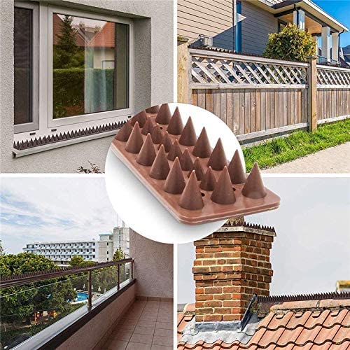 Cactus Fence Wall Spikes Animal Intruder Anti climb Use to protect Garden Repellent Deterrent House Security Anti Theft Keep birds & animal away (10)