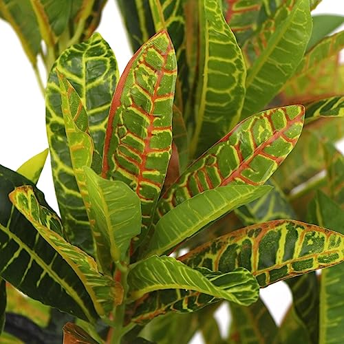 HYGRAD BUILT TO SURVIVE Tall Green Indoor Outdoor Artificial Faux Fake Decorative Home Office Exotic Tropical Plant (Ficus elastica variegata 150cm)